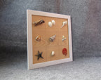 Schnecke Sammlung Gemälde mit echten Muscheln, Muschel Kunst, Wohnkultur Wanddeko