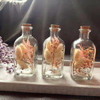 Trockenblumen Flasche mit Schleierkraut - Vase mit getrockneten Blumen - Tischdeko Hochzeit Balkon