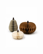 Papier Kürbis 3er Set Herbstdeko faltbar mit Magnetverschluss 11,8-24 cm